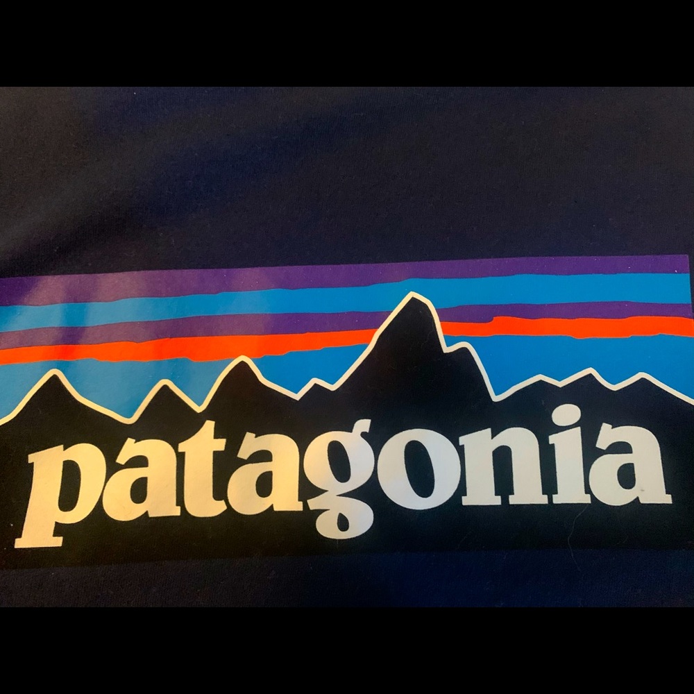 COPY - Patagonia Long Sleeve